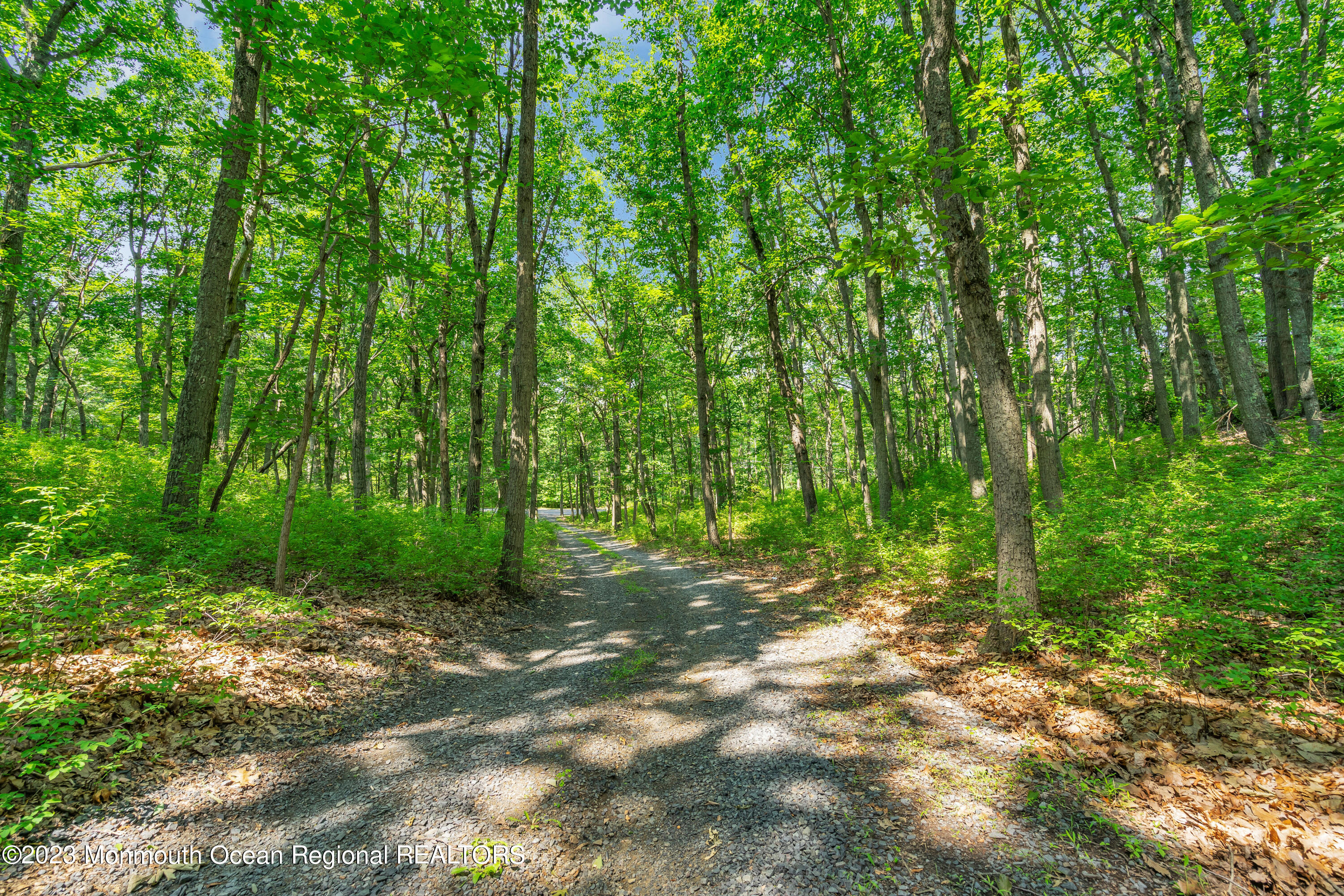 356 Millstone Road Millstone Township, NJ 08510 - Photo 54 of 75 062_ey202105