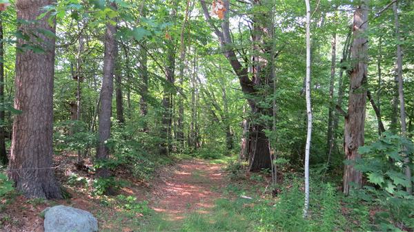 0 Turnpike Road West Townsend, MA 01474 - Photo 3 of 6