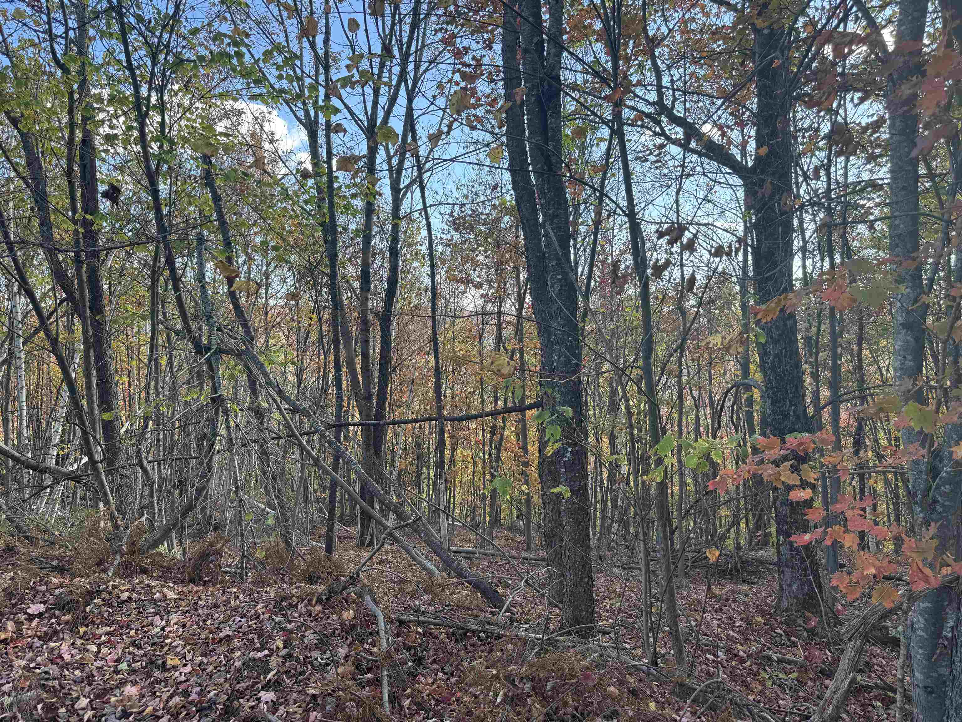 915 Wheeler Mountain Road Barton, VT 05822 - Photo 42 of 45