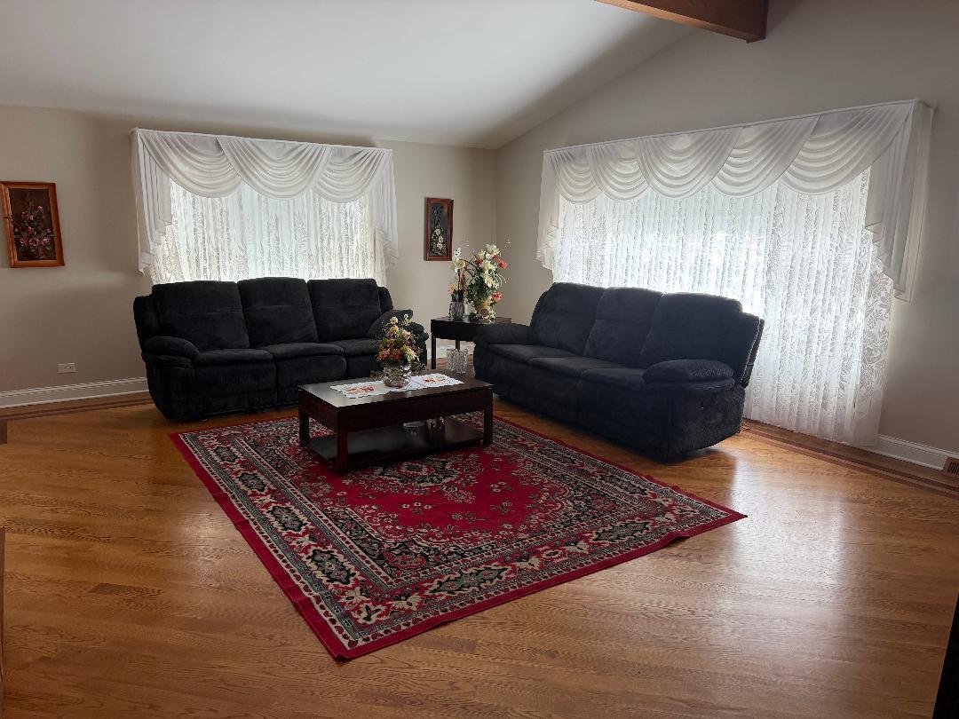 272 West Irving Park Road Wood Dale, IL 60191 - Photo 10 of 12 a living room with furniture and a rug