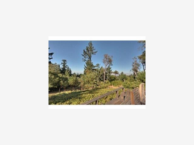 35 Ranch Road Woodside, CA 94062 - Photo 8 of 9 Gallery Image 8