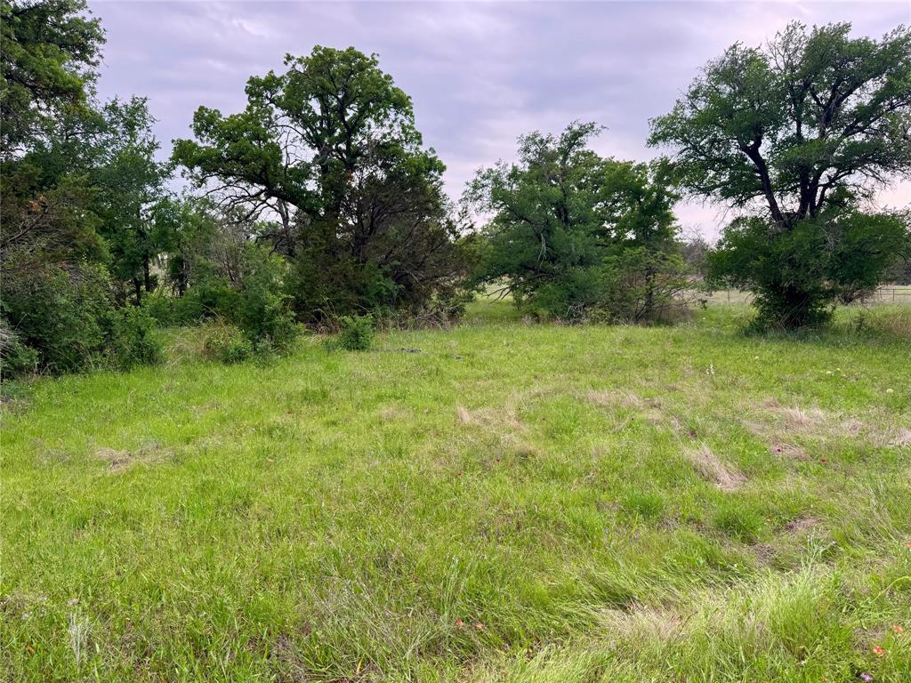 Tbd Village Bend Road Mineral Wells, TX 76067 - Photo 11 of 21