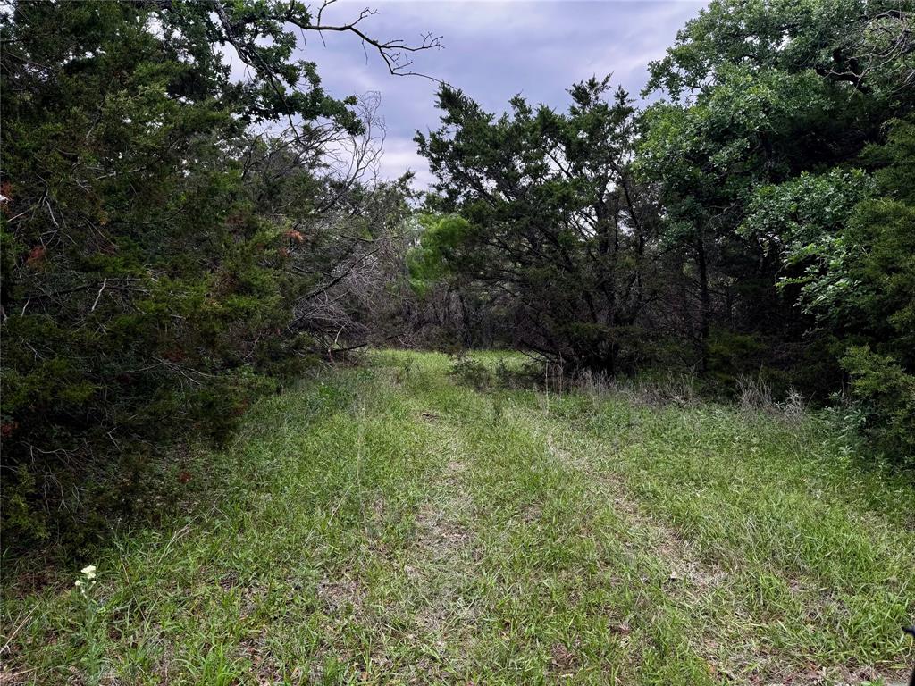 Tbd Village Bend Road Mineral Wells, TX 76067 - Photo 15 of 21
