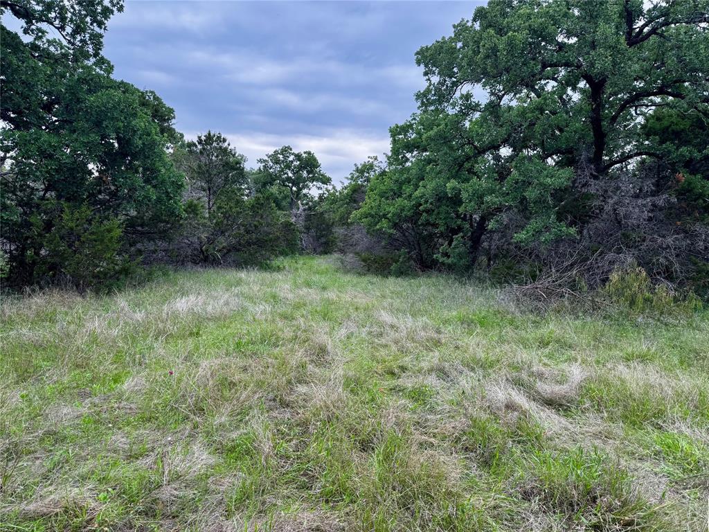 Tbd Village Bend Road Mineral Wells, TX 76067 - Photo 17 of 21