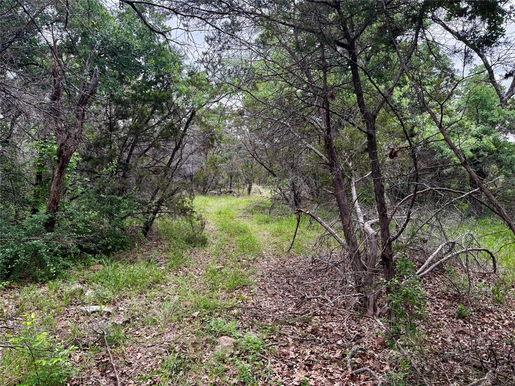 Tbd Village Bend Road Mineral Wells, TX 76067 - Photo 18 of 21