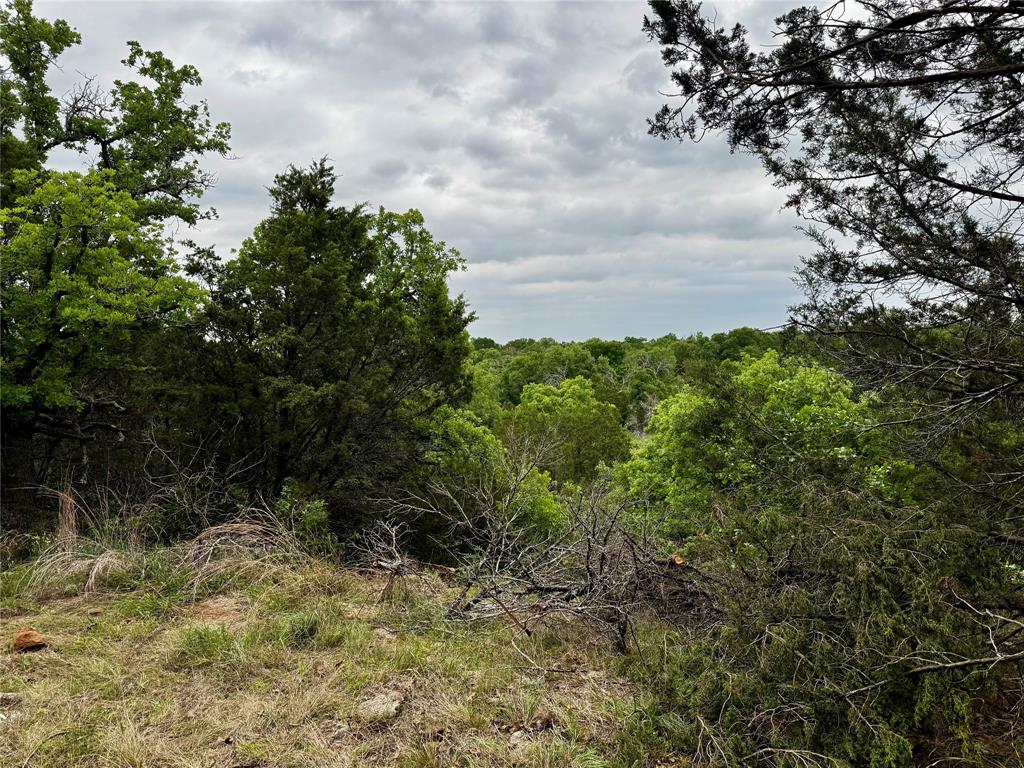 Tbd Village Bend Road Mineral Wells, TX 76067 - Photo 19 of 21