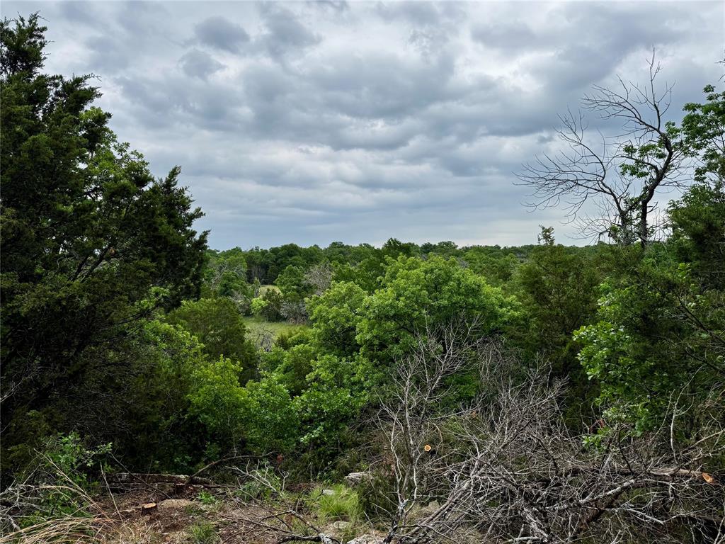 Tbd Village Bend Road Mineral Wells, TX 76067 - Photo 20 of 21