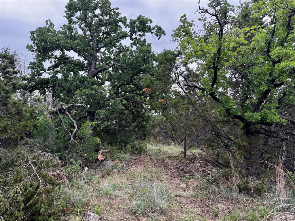 Tbd Village Bend Road Mineral Wells, TX 76067 - Photo 21 of 21