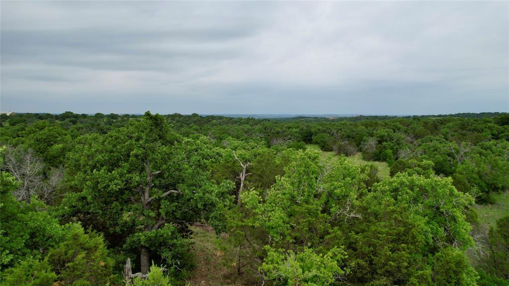 Tbd Village Bend Road Mineral Wells, TX 76067 - Photo 6 of 21