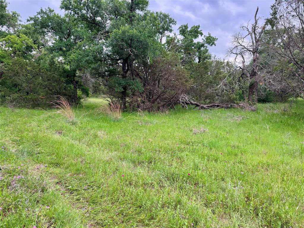 Tbd Village Bend Road Mineral Wells, TX 76067 - Photo 8 of 21