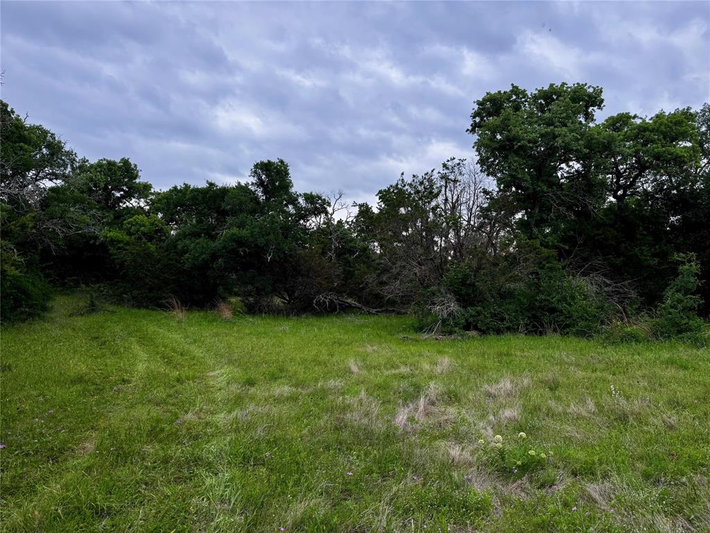 Tbd Village Bend Road Mineral Wells, TX 76067 - Photo 9 of 21