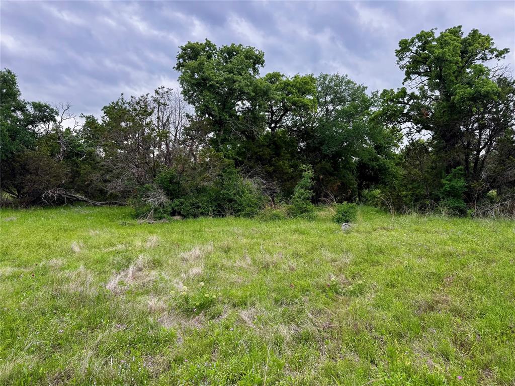 Tbd Village Bend Road Mineral Wells, TX 76067 - Photo 10 of 21