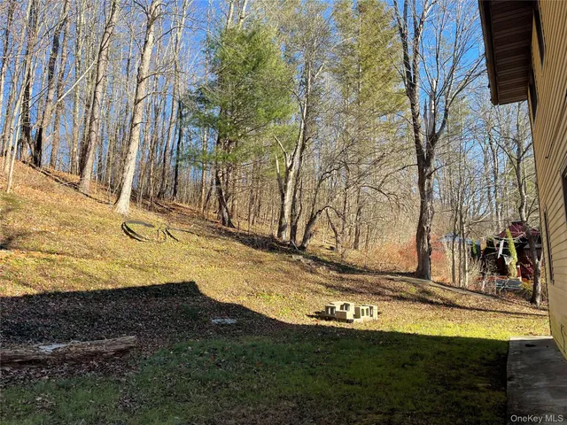 $204,000 | 4 Worden Lane, Livingston Manor, NY 12758