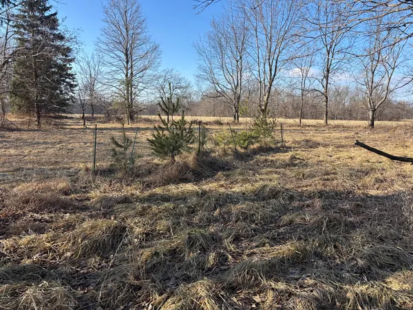 a view of snow covered with snow