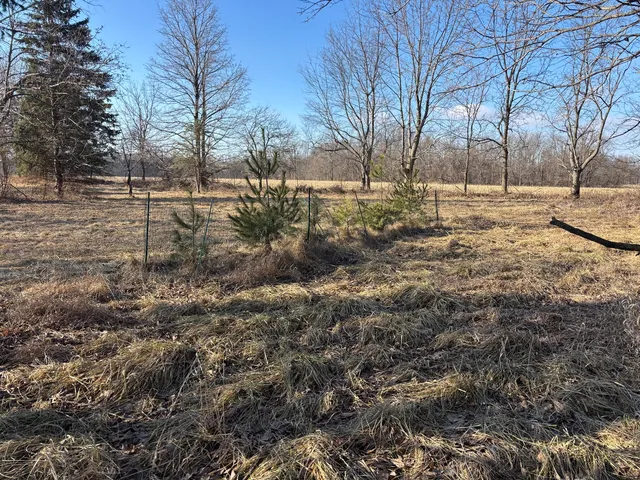 $5,000 | 735 Brookside Drive, Varna, IL 61375