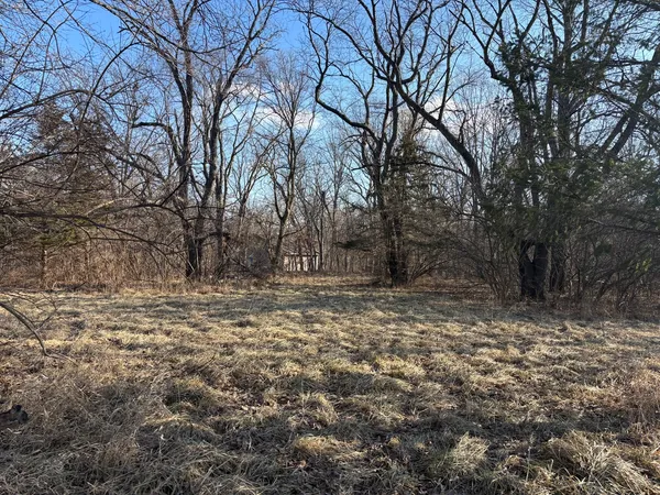 a view of a yard with trees
