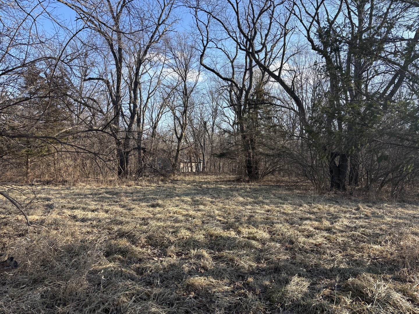 735 Brookside Drive Varna, IL 61375 - Photo 2 of 8