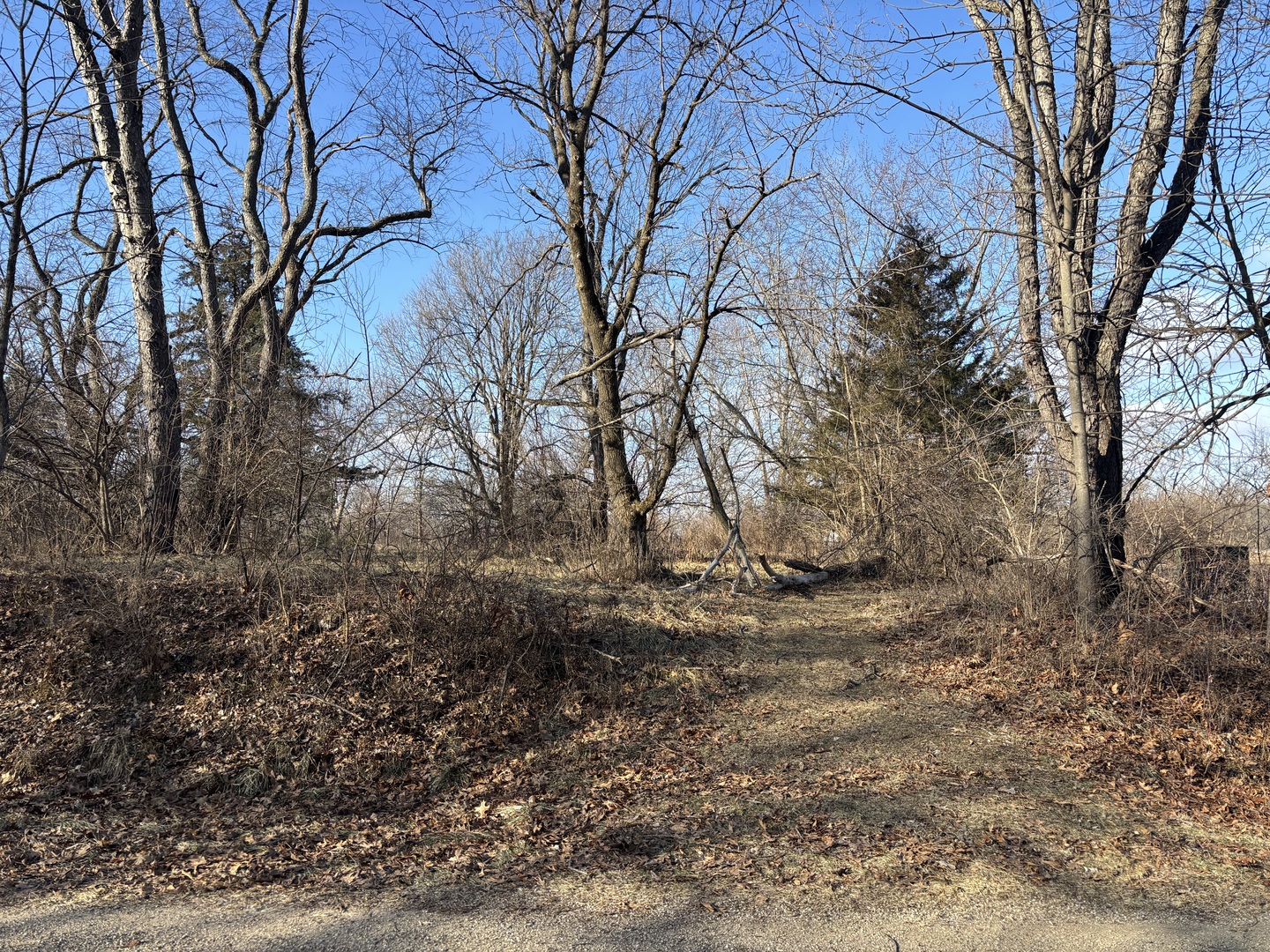 735 Brookside Drive Varna, IL 61375 - Photo 3 of 8