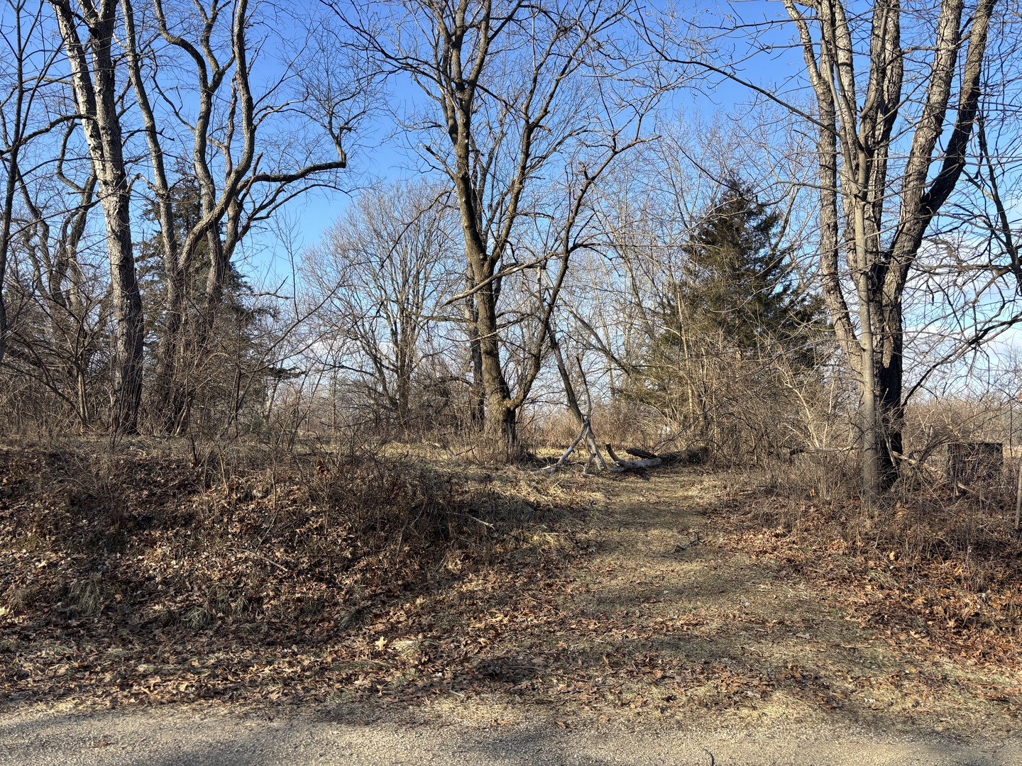 735 Brookside Drive Varna, IL 61375 - Photo 4 of 8