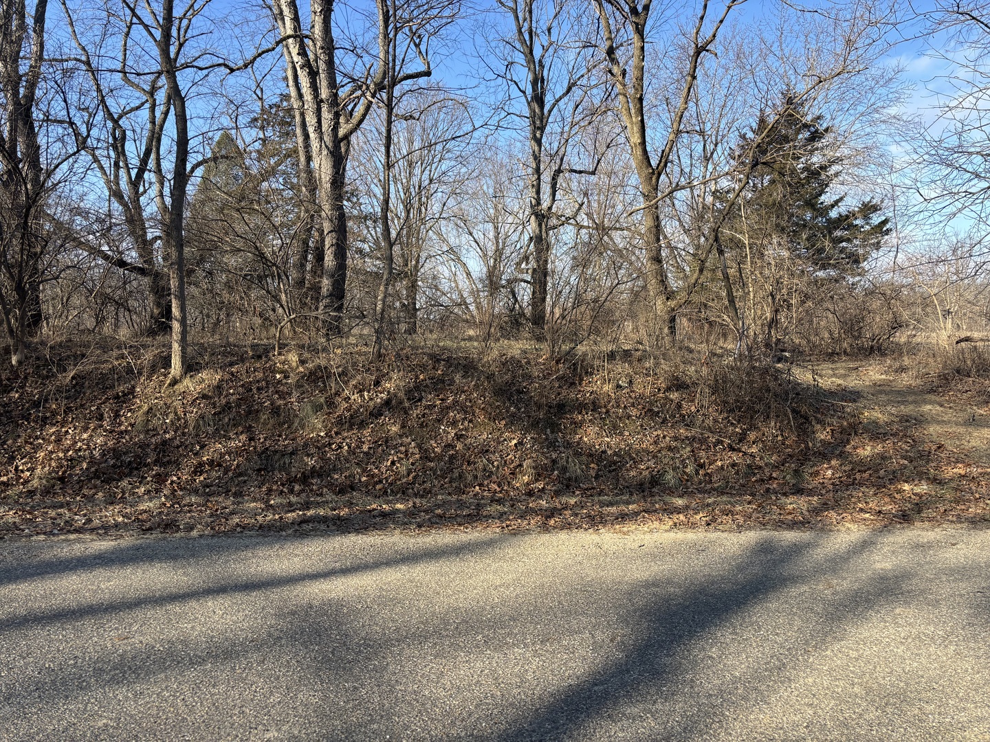 735 Brookside Drive Varna, IL 61375 - Photo 5 of 8