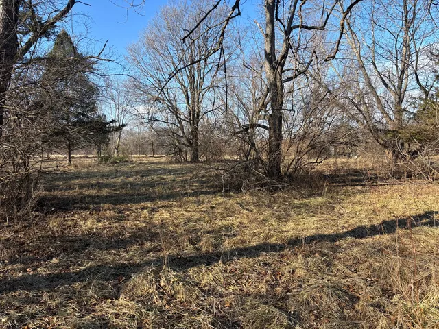 a view of dirt yard with a large tree