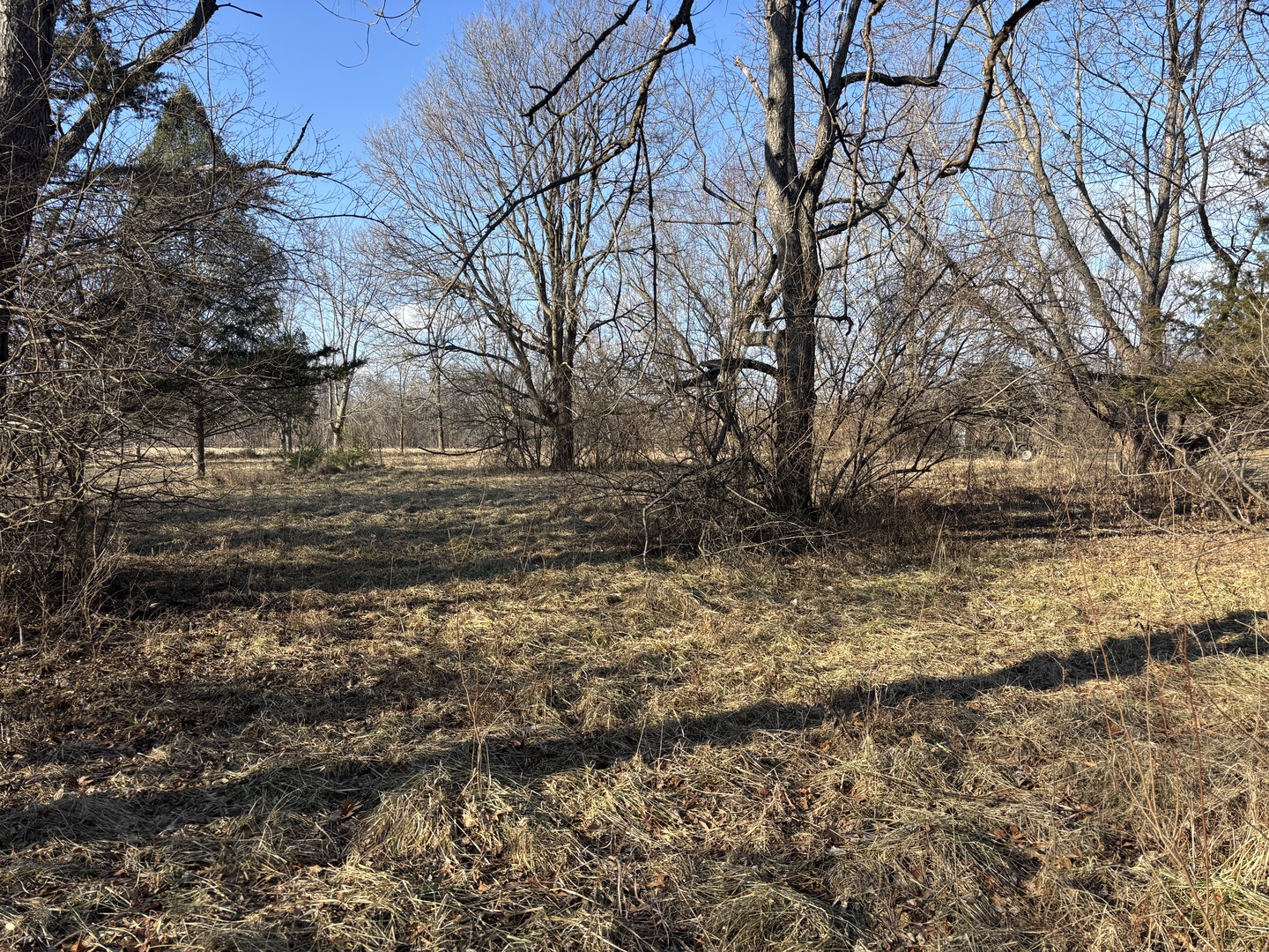 735 Brookside Drive Varna, IL 61375 - Photo 6 of 8