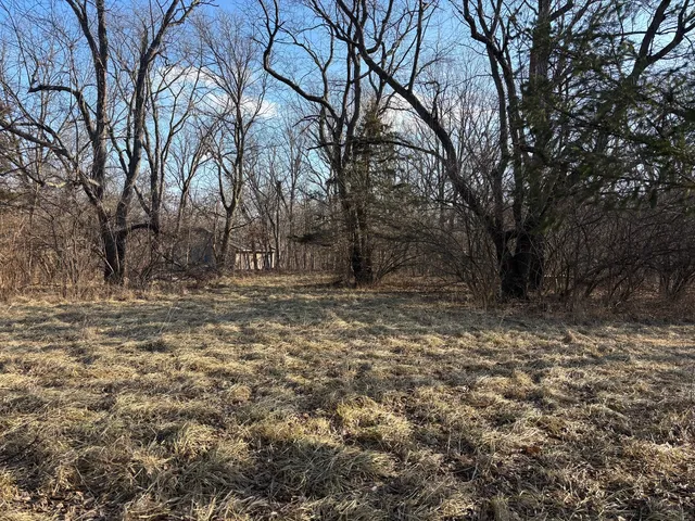 a view of backyard with large trees
