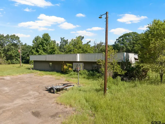 a view of a lake with a tree
