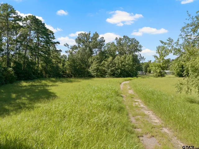 a view of yard with swimming pool and green space