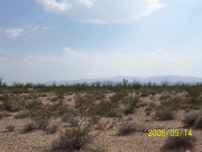 0 Rio Vista Golden Valley, AZ 86413 - Photo 1 of 1 Primary Photo