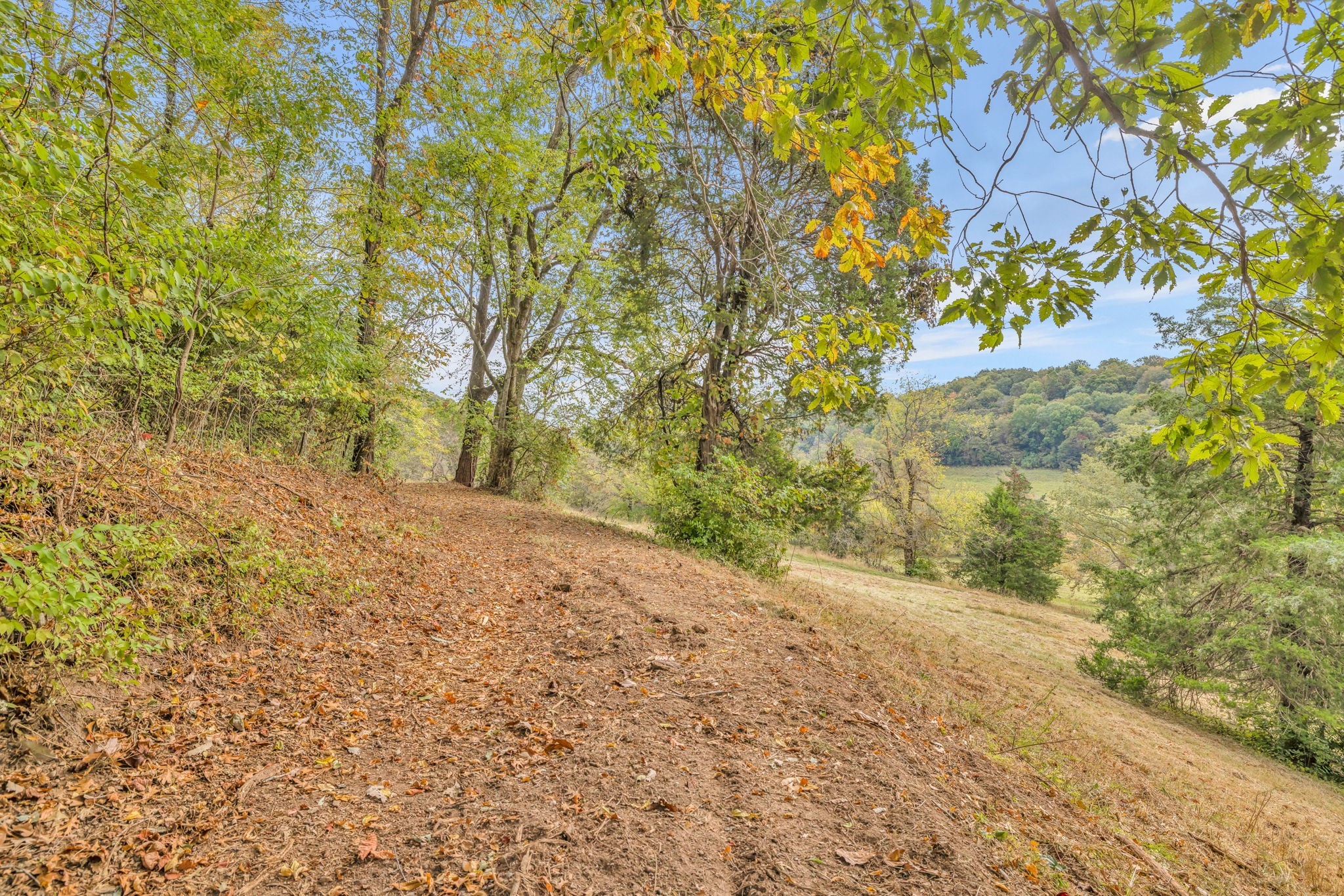0 Blazer Road Franklin, TN 37064 - Photo 23 of 48 a view of a yard with a tree