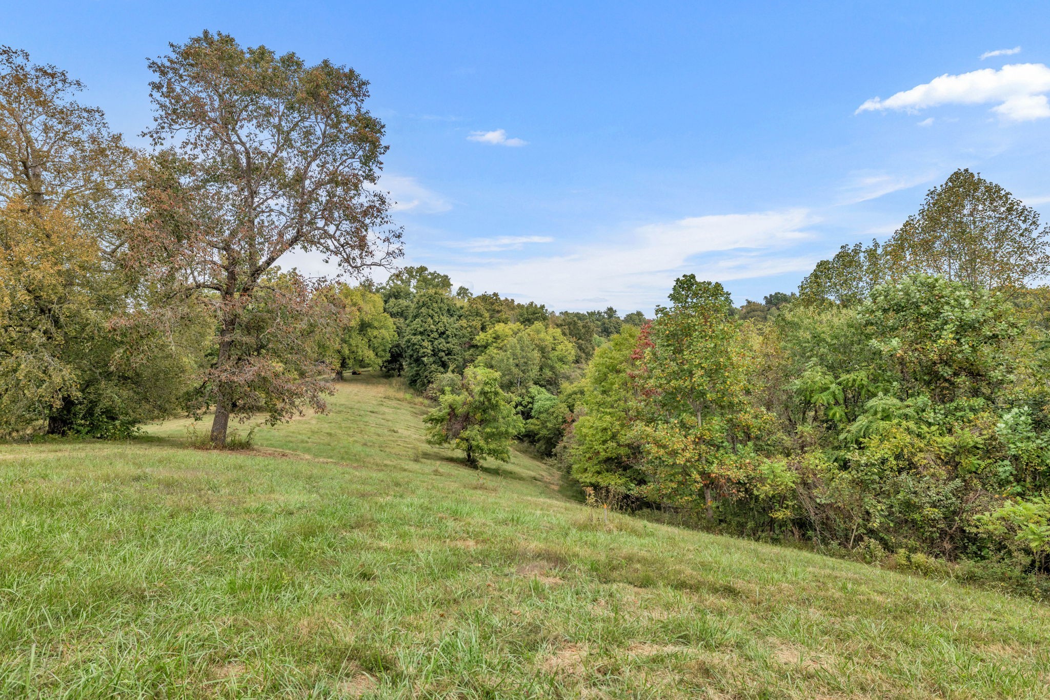 0 Blazer Road Franklin, TN 37064 - Photo 31 of 48 a big yard with lots of green space and house in the back