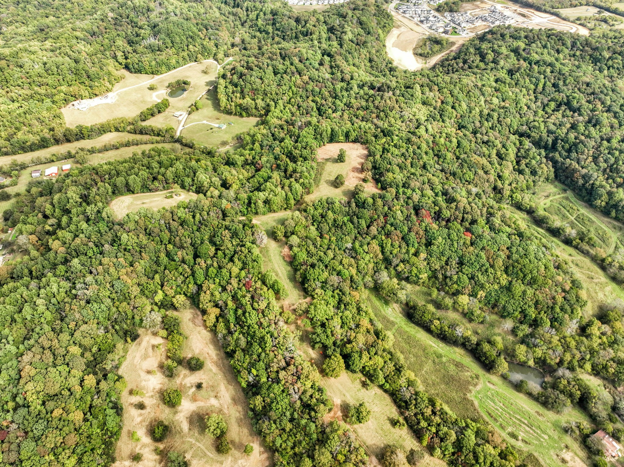 0 Blazer Road Franklin, TN 37064 - Photo 48 of 48 a view of a big yard with lots of bushes