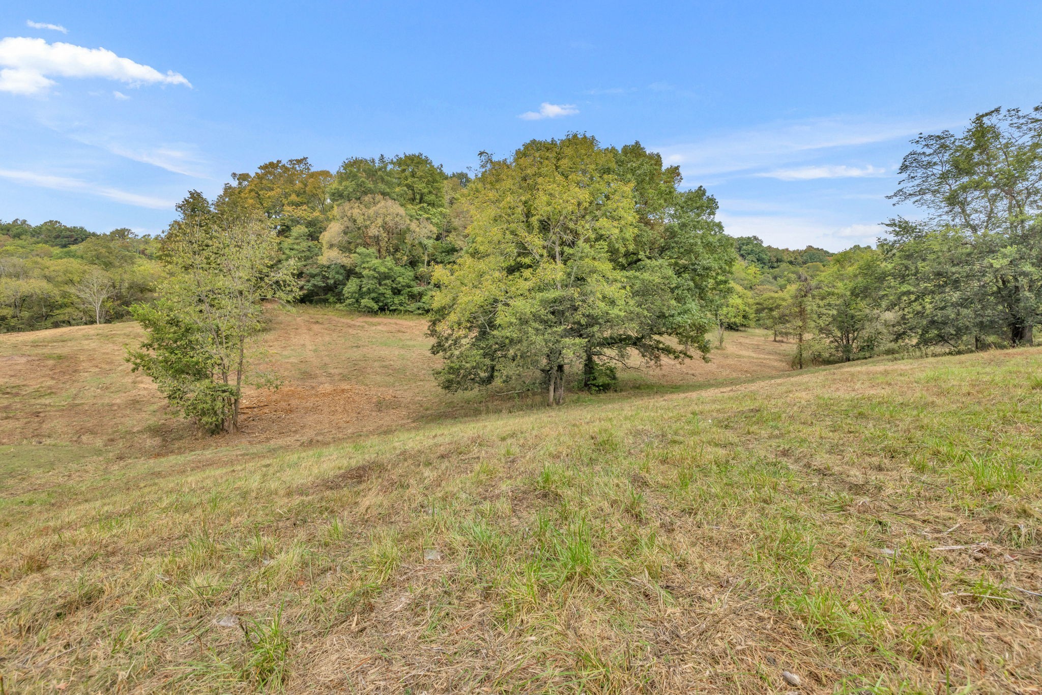 0 Blazer Road Franklin, TN 37064 - Photo 7 of 48 a view of a field with an ocean view