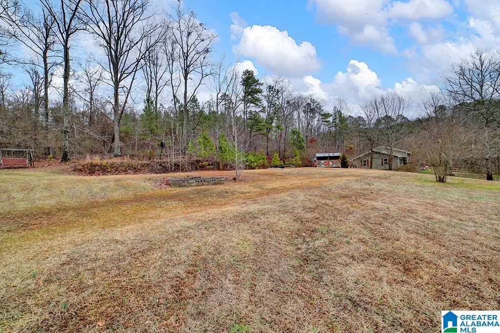 405 Kirby Road Springville, AL 35146 - Photo 9 of 35