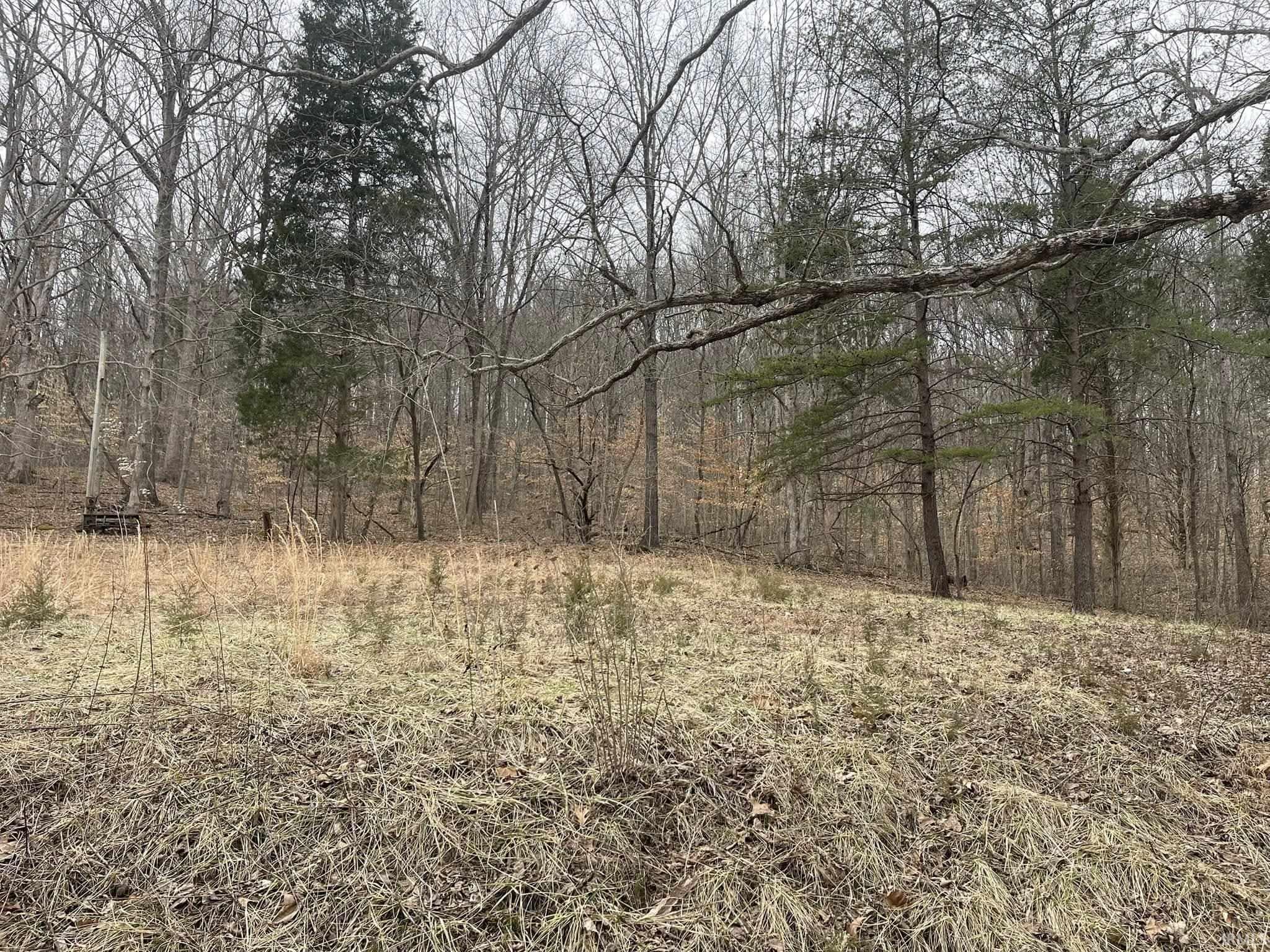 Chaplin Road Birdseye, IN 47513 - Photo 2 of 4