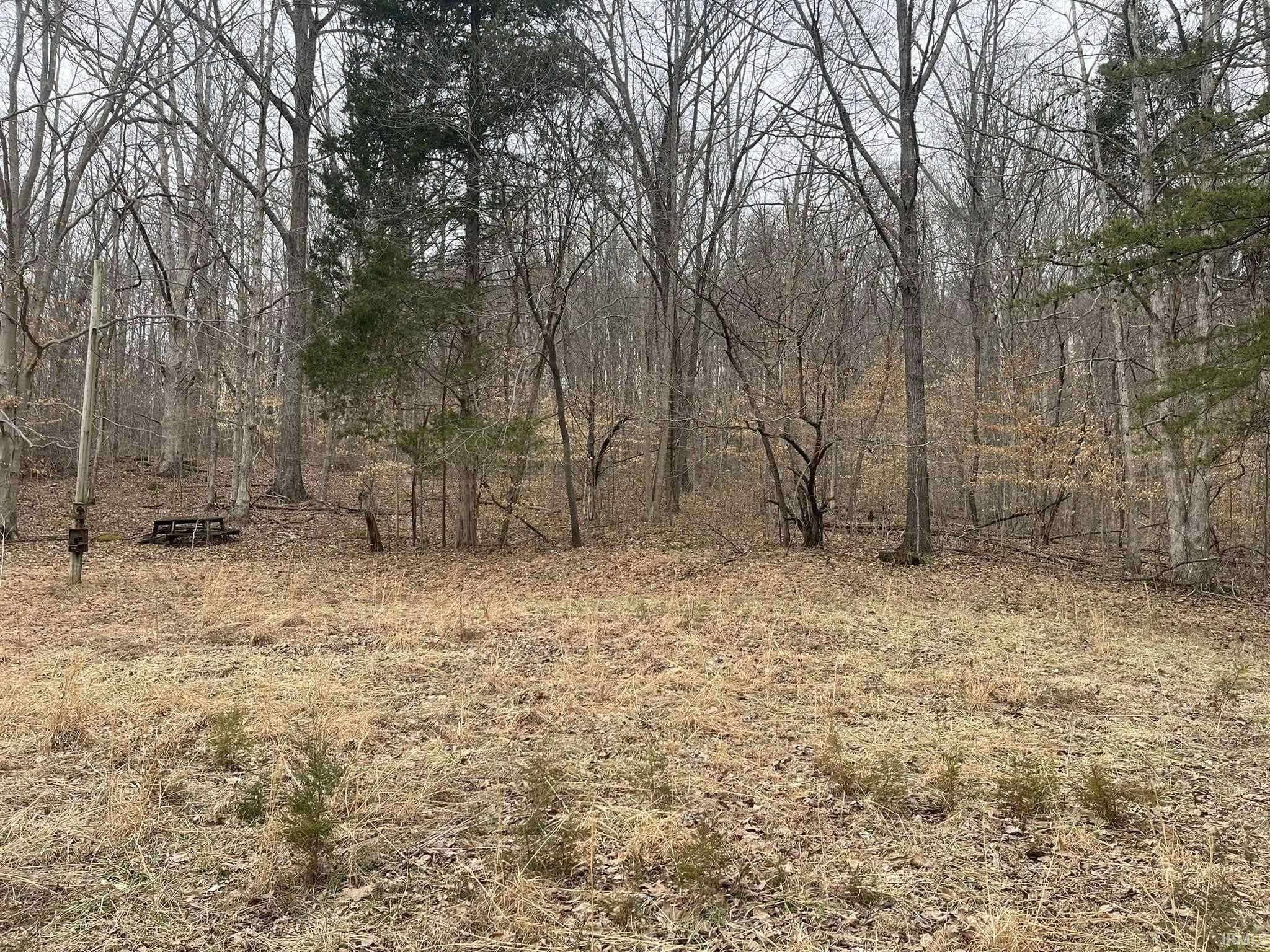 Chaplin Road Birdseye, IN 47513 - Photo 3 of 4