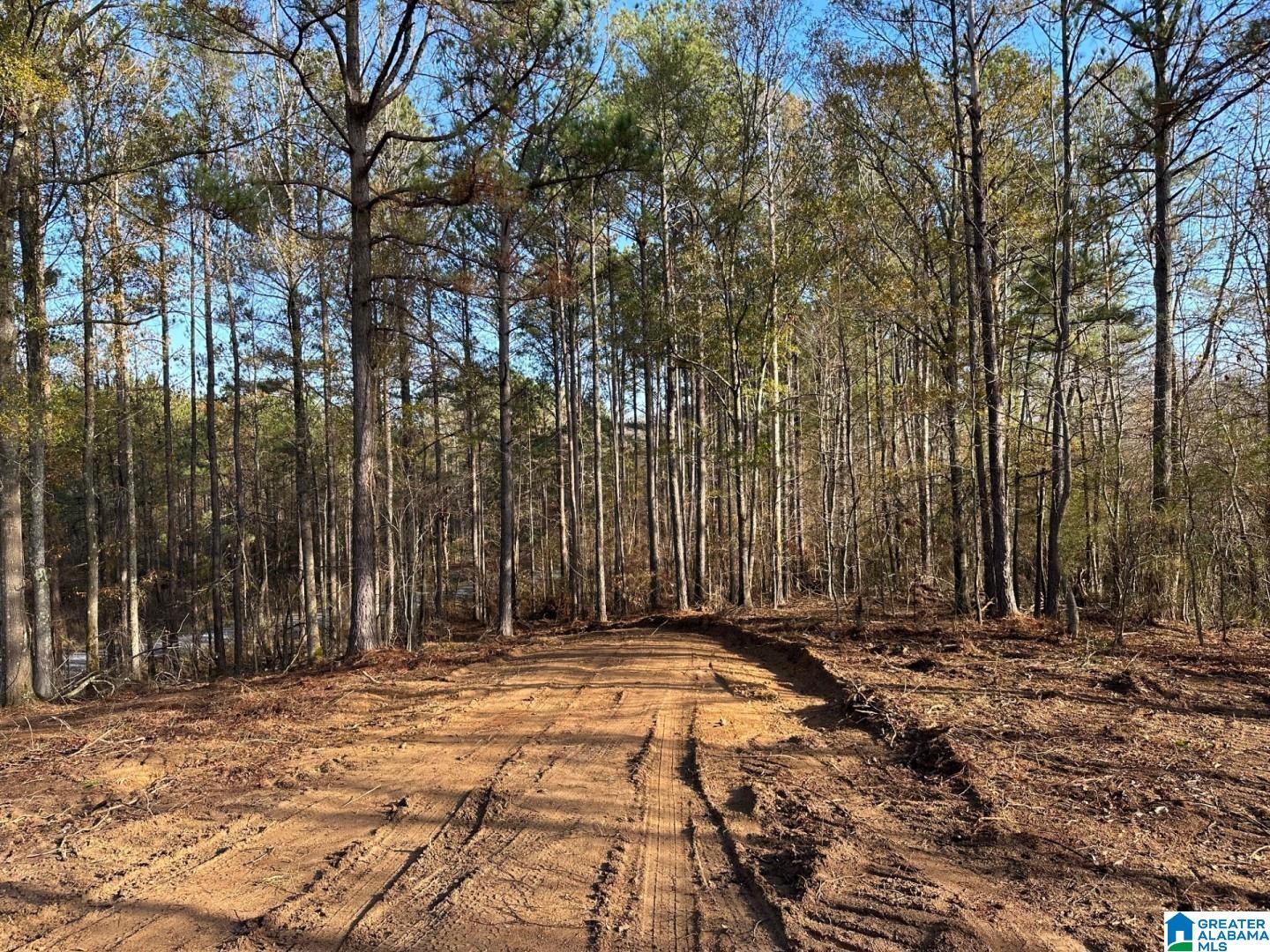 Firehouse Road, Unit 3 66 Goodwater, AL 35072 - Photo 3 of 6