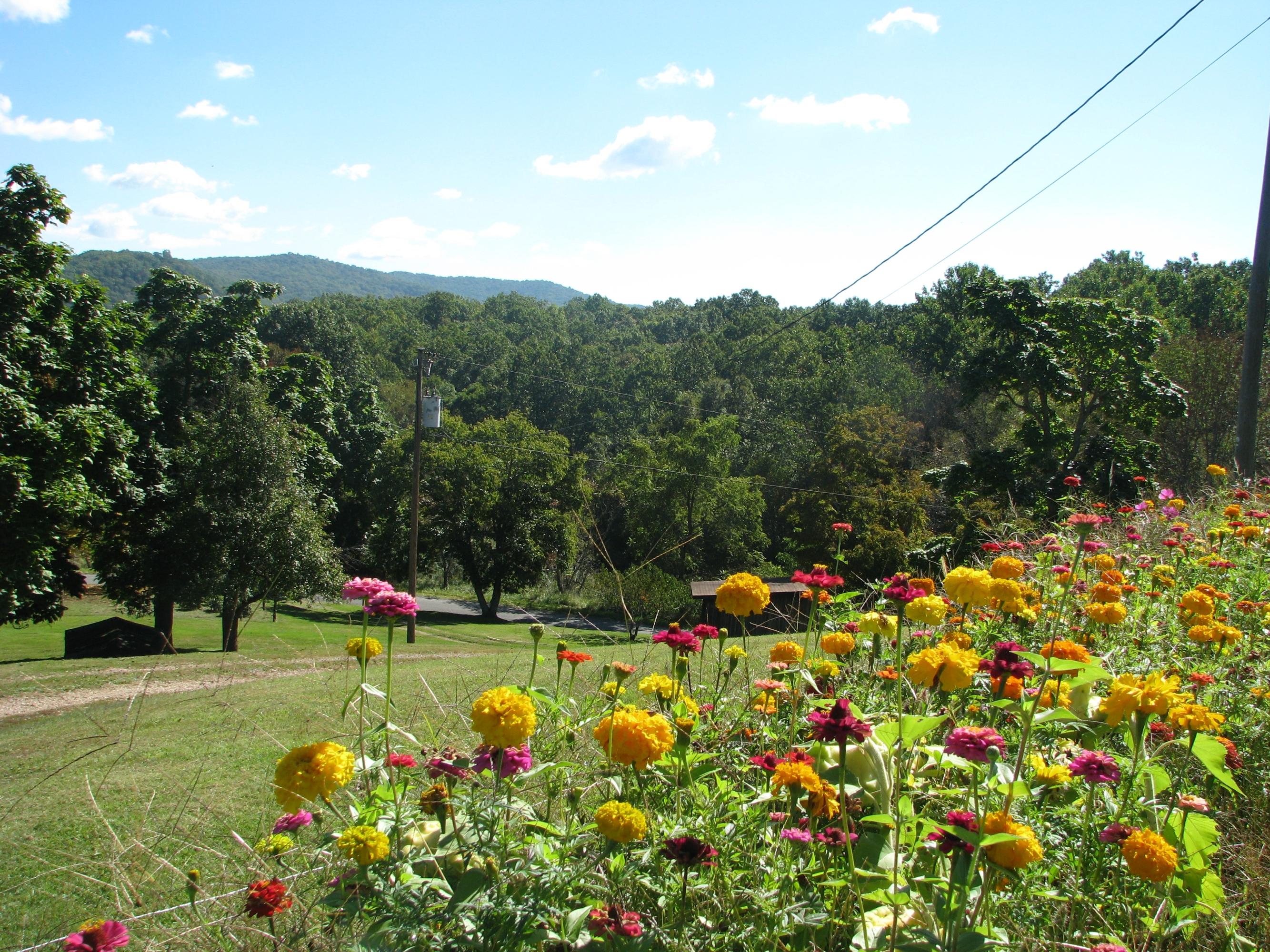 8548 Denmar Road Hillsboro, WV 24946 - Photo 17 of 38 Gallery Image 17