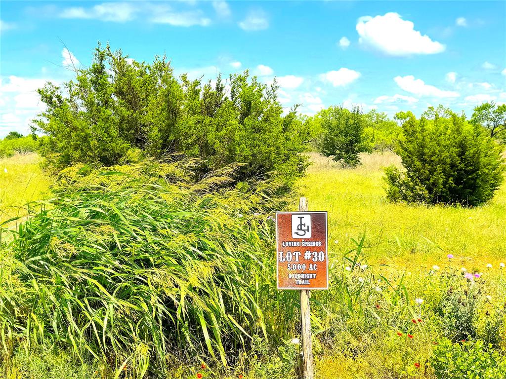 1020 Goodnight Trail Perrin, TX 76486 - Photo 2 of 14 a sign that is sitting in front of a tree