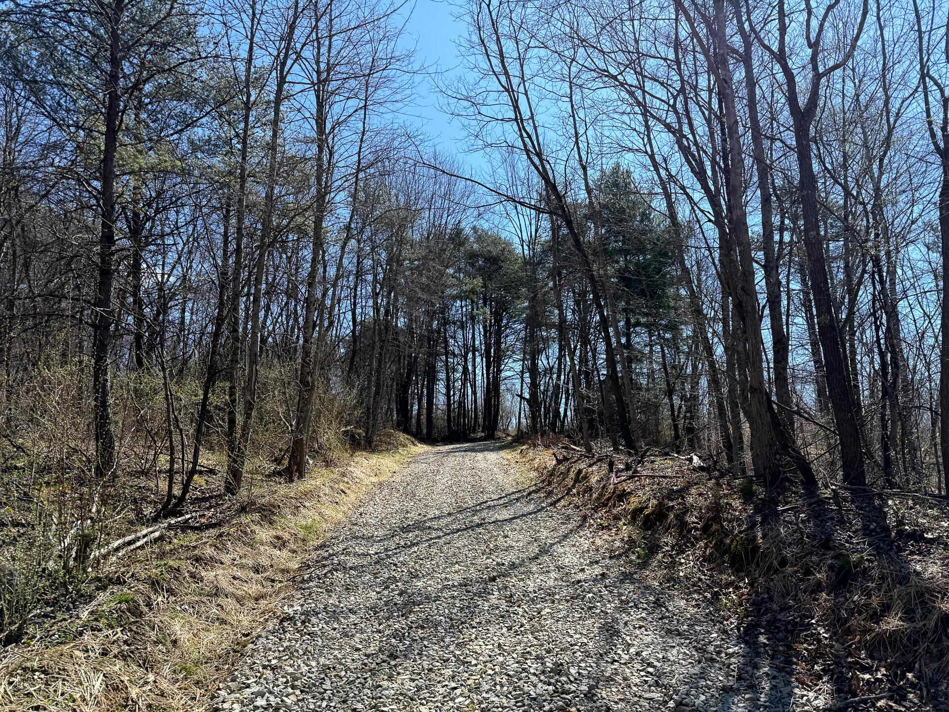 0 Dutch Ridge Road Southeast, Unit WOODS TURKEY RUN TRACT 6) New Lexington, OH 43764 - Photo 6 of 31 CT-6