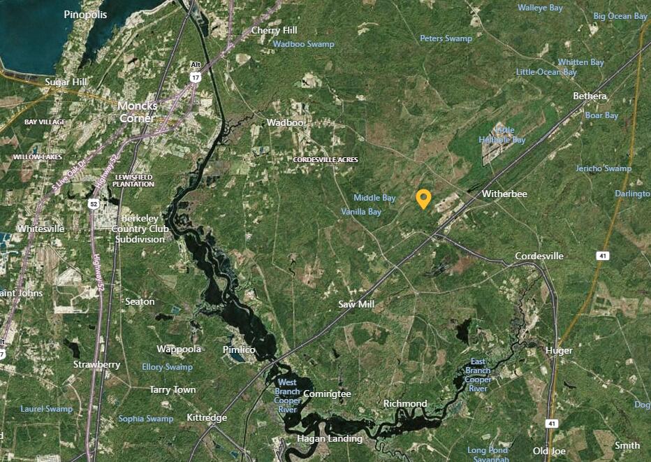 0 Backwoods Way Cordesville, SC 29434 - Photo 2 of 5 2