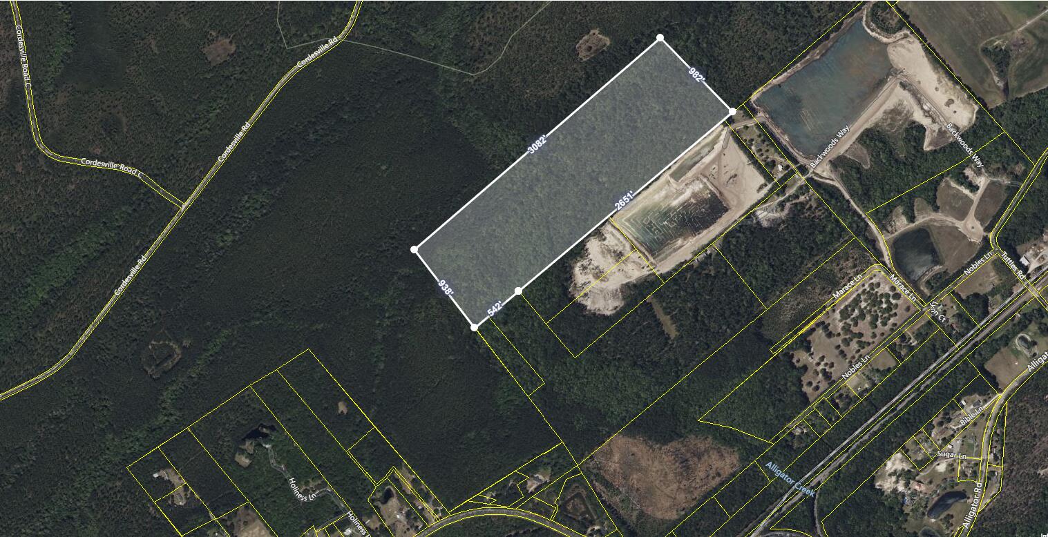 0 Backwoods Way Cordesville, SC 29434 - Photo 4 of 5 4