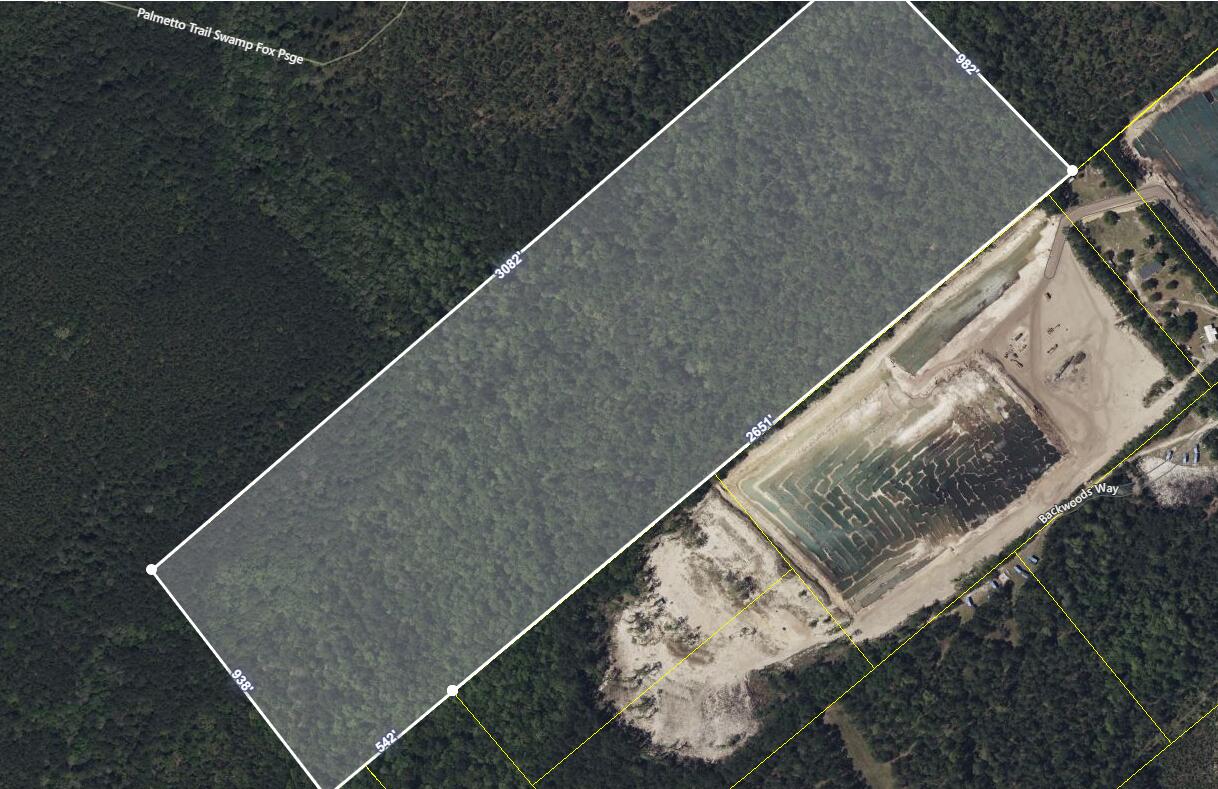 0 Backwoods Way Cordesville, SC 29434 - Photo 5 of 5 5