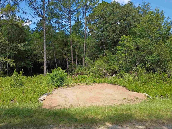 $32,000 | 10545 Zigler Avenue, Hastings, FL 32145