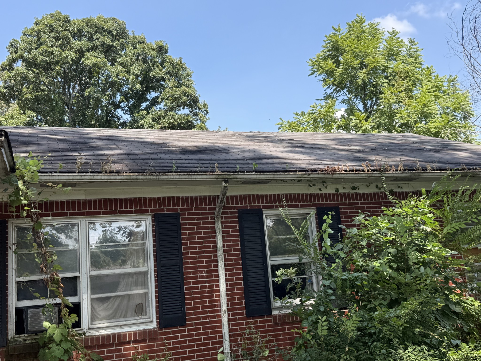 10 Arthur Hoppers Road Trenton, TN 38382 - Photo 23 of 26 Gallery Image 23