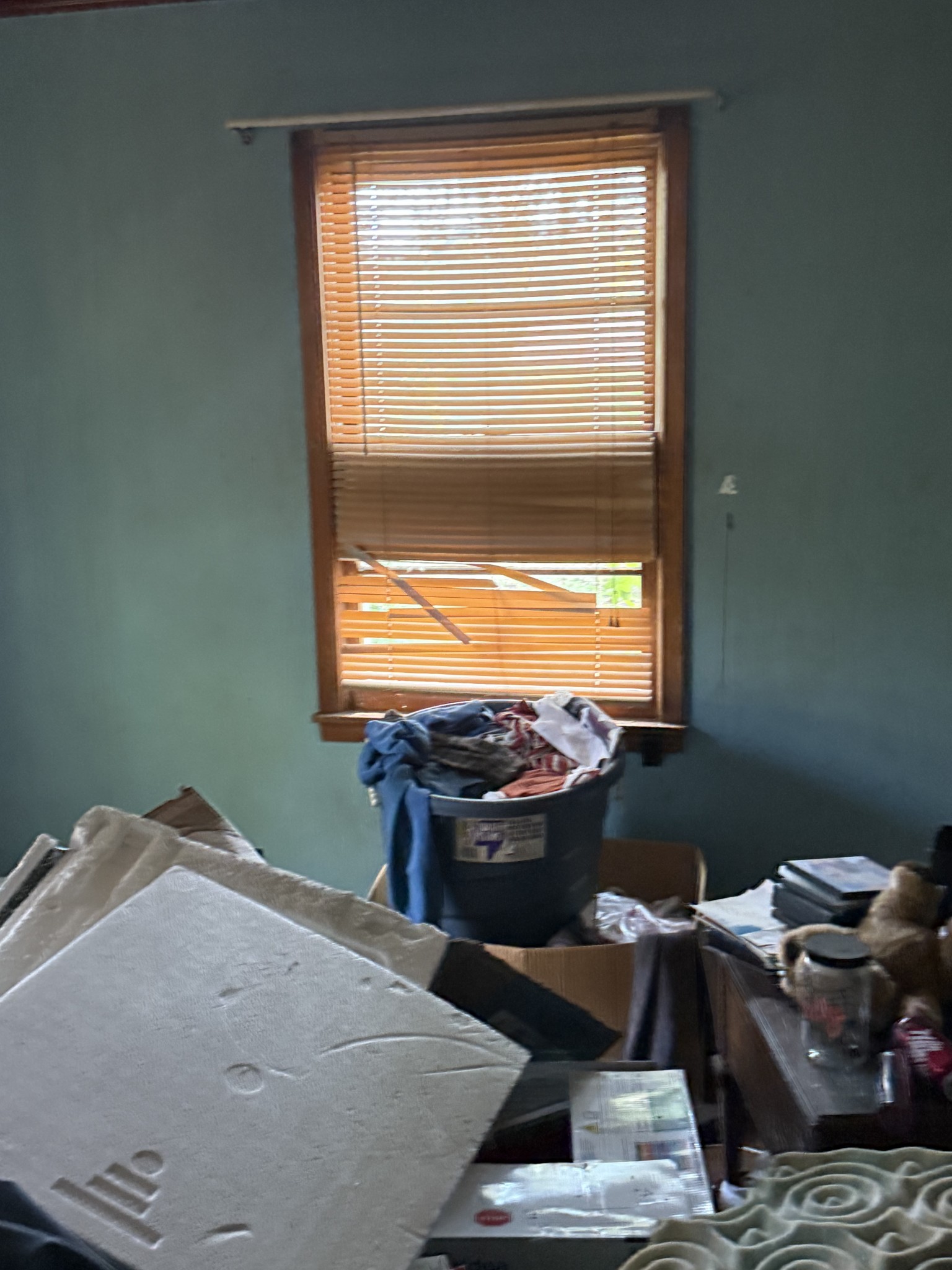 10 Arthur Hoppers Road Trenton, TN 38382 - Photo 3 of 26 Gallery Image 3