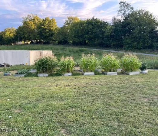 $125,000 | 55 Little Chuckey Cutoff, Unit 12, Mosheim, TN 37818