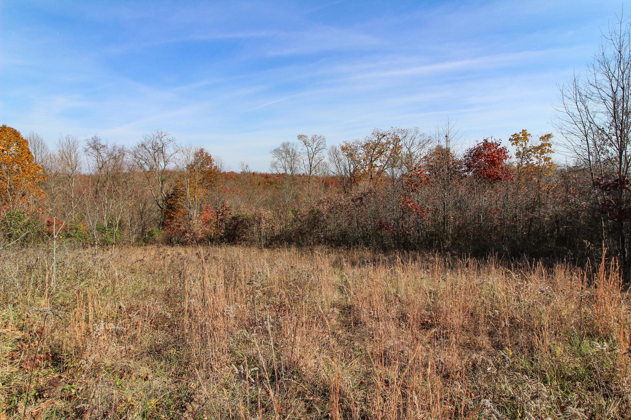 53166 Highway 681 Reedsville, OH 45772 - Photo 9 of 34 Lott 9
