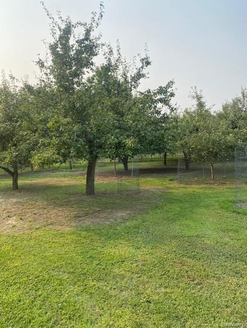 7762 Mason Road Yale, MI 48097 - Photo 9 of 40